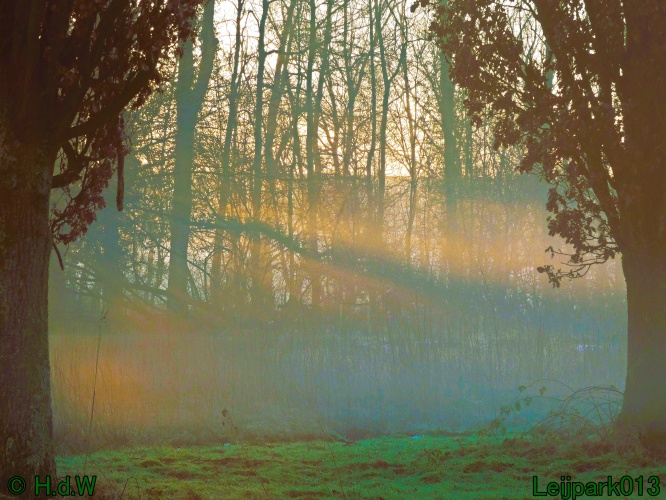 13 januari Mist en zon