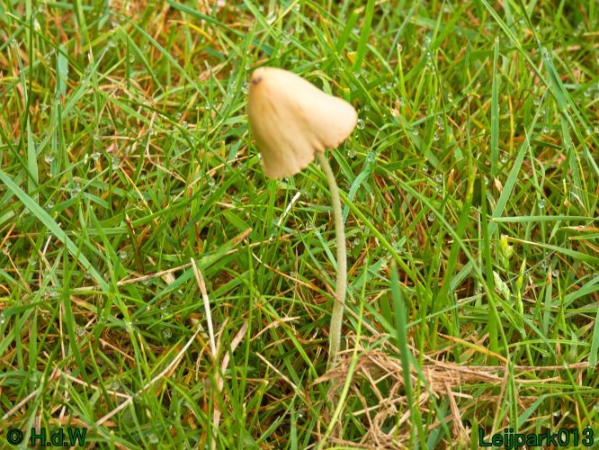 10 &amp; 11 &amp; 12 &amp; 13 augustus 2024