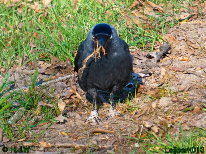 3 &amp; 4 &amp; 5 &amp; 6 april 2025