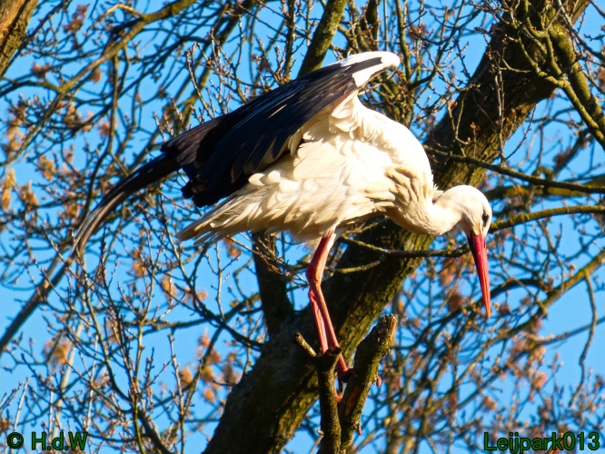 3 &amp; 4 &amp; 5 &amp; 6 april 2025