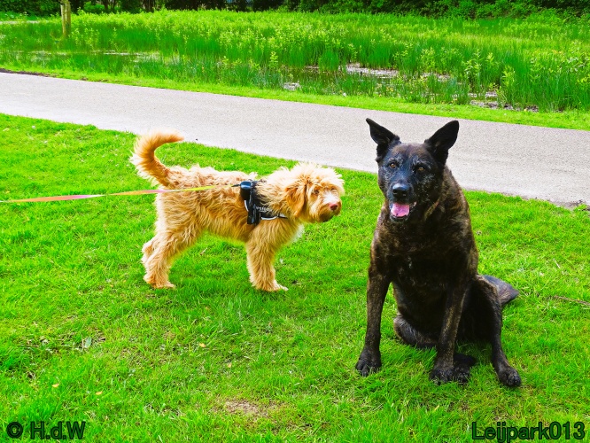 Beestenboel 12 mei 2024