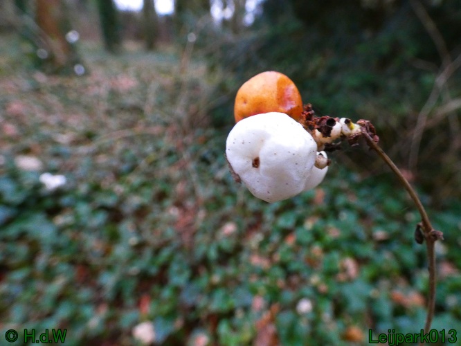 16 &amp; 17 &amp; 18 &amp; 19 december 2024