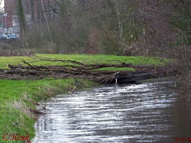 Storm terug in de tijd