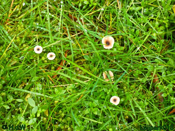 22 &amp; 23 &amp; 24 &amp; 25 november 2024