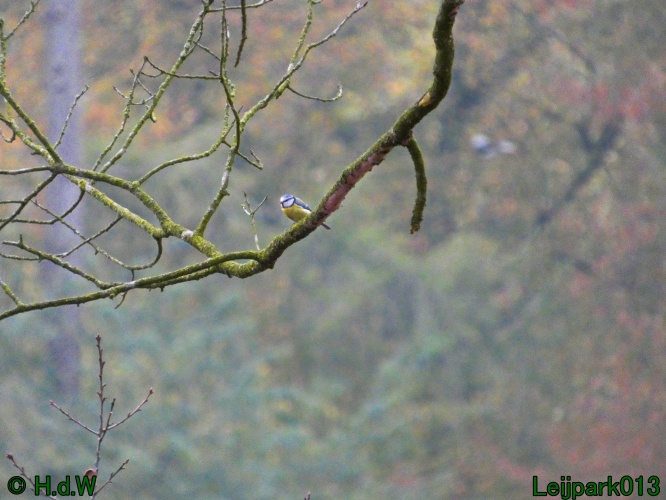 10 &amp; 11 &amp; 12 &amp; 13 november 2024