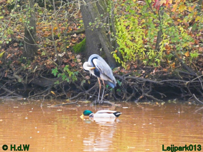 30 november &amp; 1 &amp; 2 &amp; 3 december 2024