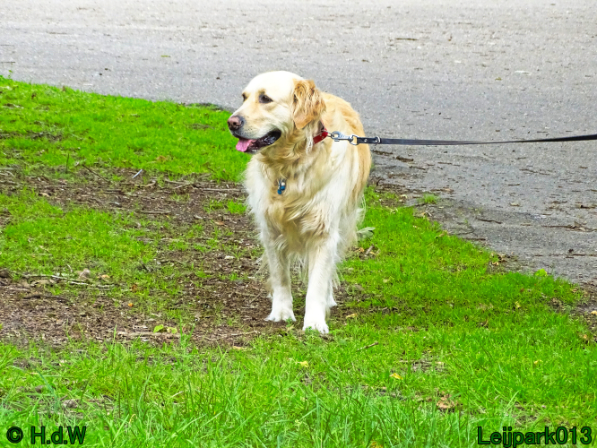 Beestenboel 7 juni 2024