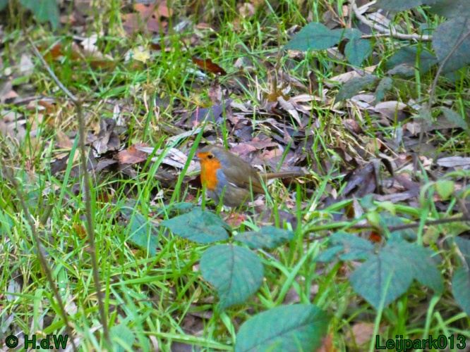 20 &amp; 21 &amp; 22 &amp; 23 december 2024