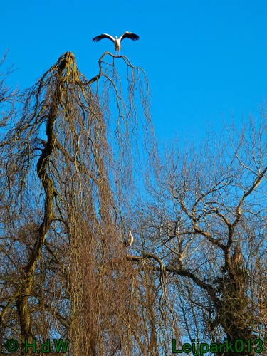 3 &amp; 4 &amp; 5 &amp; 6 april 2025