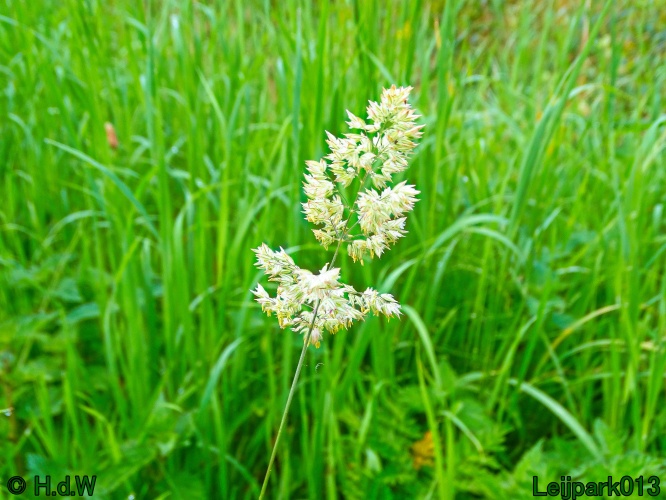 25 &amp; 26 &amp; 27 &amp; 28 juli 2024