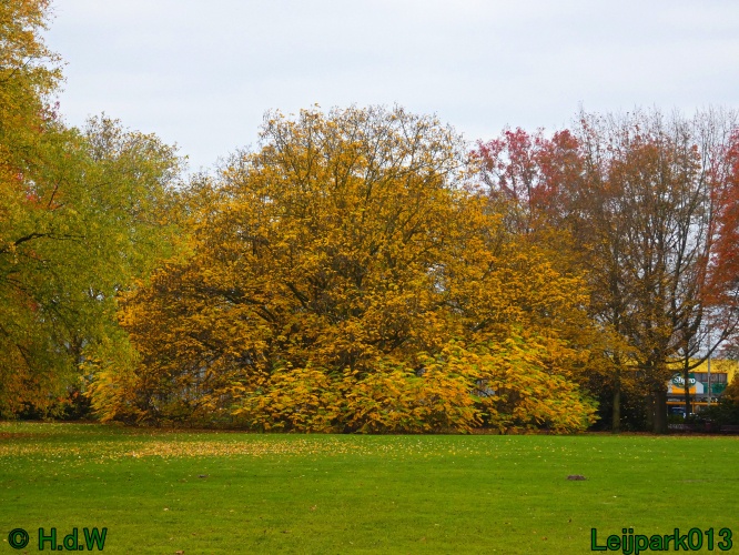 30 november &amp; 1 &amp; 2 &amp; 3 december 2024