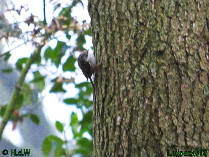 20 &amp; 21 &amp; 22 &amp; 23 december 2024