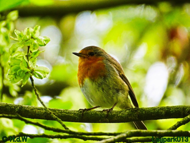 30 april 1 &amp; 2 &amp; 3 mei 2024