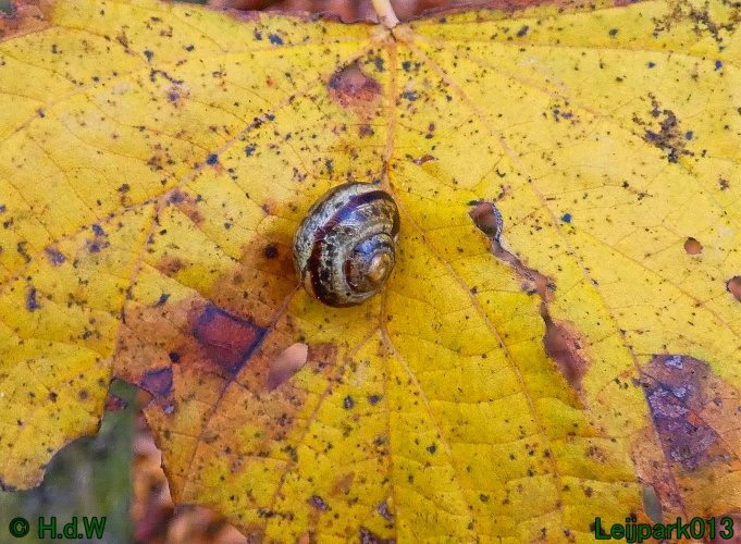 30 november &amp; 1 &amp; 2 &amp; 3 december 2024