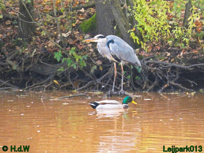 30 november &amp; 1 &amp; 2 &amp; 3 december 2024