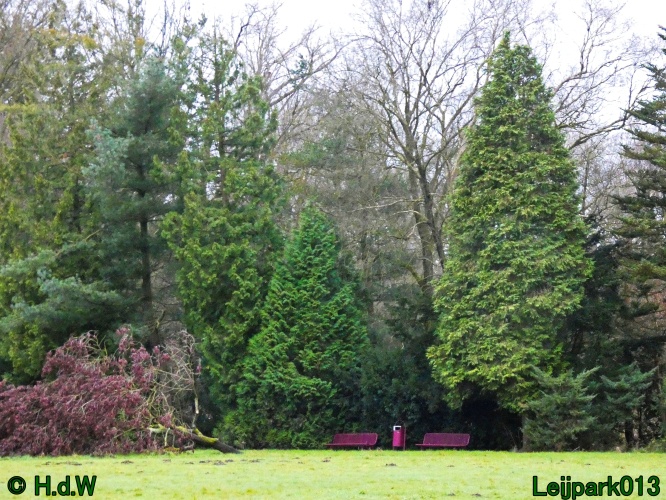 20 &amp; 21 &amp; 22 &amp; 23 december 2024