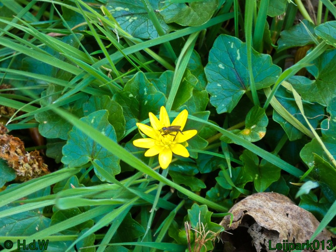 3 &amp; 4 &amp; 5 &amp; 6 april 2025