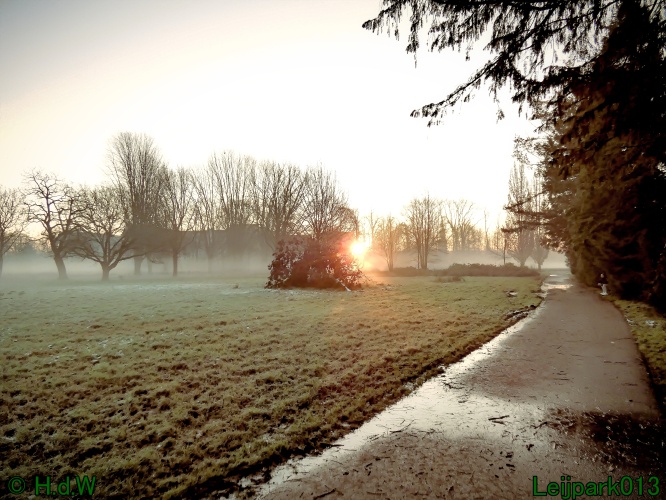 13 januari Mist en zon