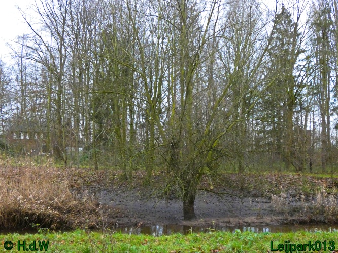 20 &amp; 21 &amp; 22 &amp; 23 december 2024