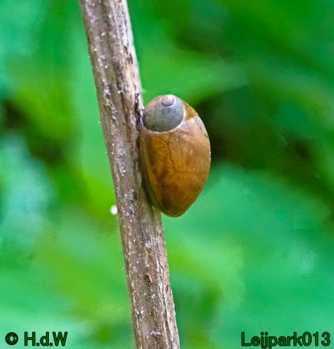 30 april 1 &amp; 2 &amp; 3 mei 2024