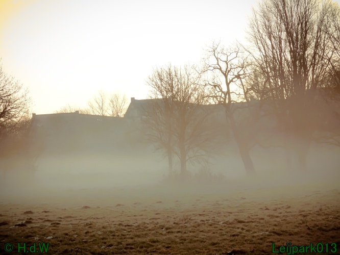 13 januari Mist en zon