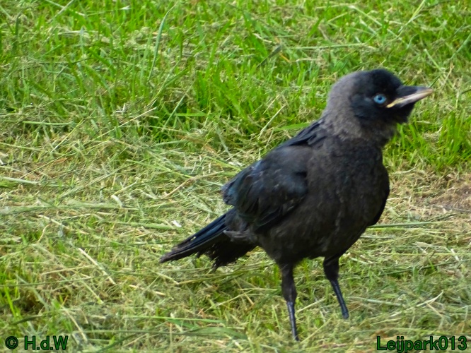 11 &amp; 12 &amp; 13 &amp; 14 juni 2024