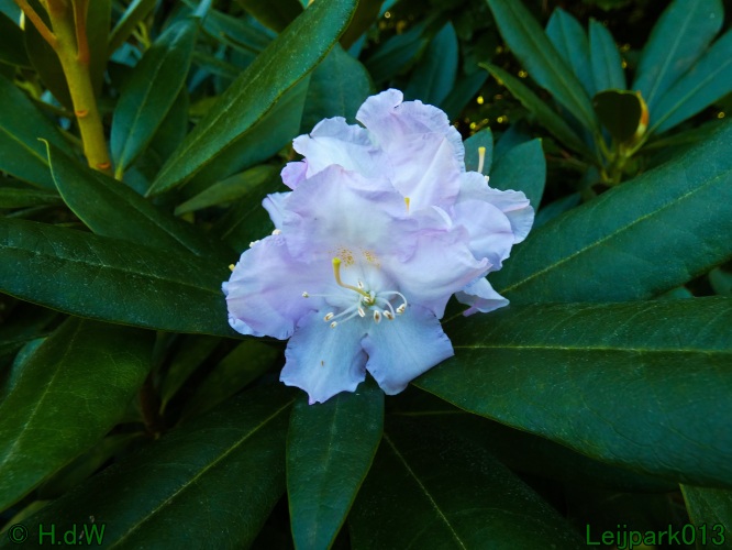 22 &amp; 23 &amp; 24 &amp; 25 augustus 2024