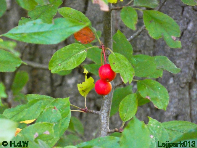 2 &amp; 3 &amp; 4 &amp; 5 November 2024