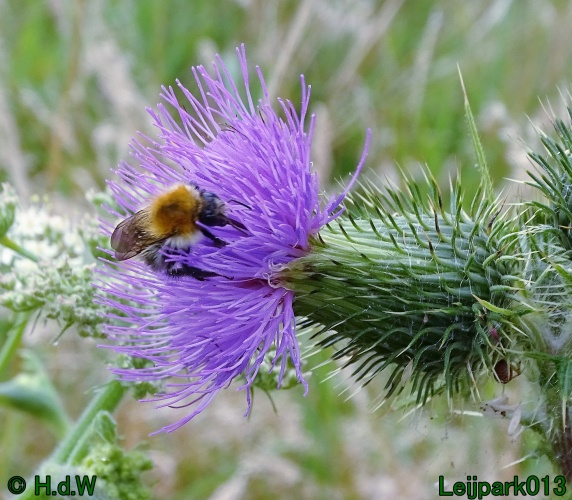 25 &amp; 26 &amp; 27 &amp; 28 juli 2024