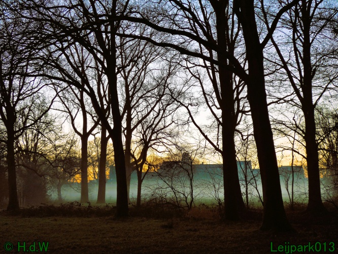 13 januari Mist en zon