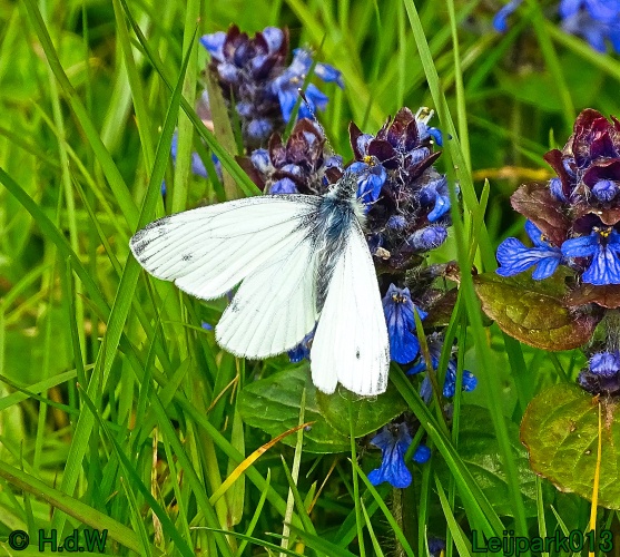 30 april 1 &amp; 2 &amp; 3 mei 2024