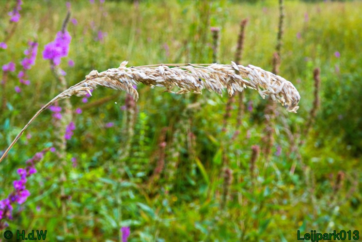 22 &amp; 23 &amp; 24 &amp; 25 augustus 2024