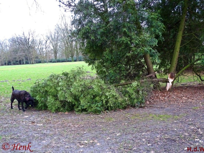 Storm terug in de tijd