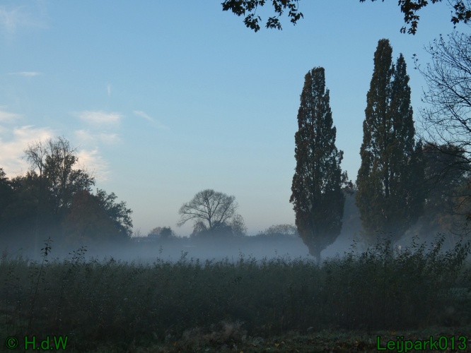3 november 2024 Vanmorgenwas er mist in het Leijpark