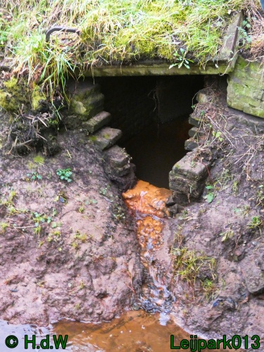 21 &amp; 22 &amp; 23 &amp; 24 januari 2025