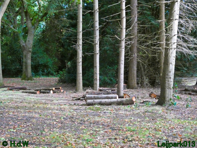 1 &amp; 2 &amp; 3 &amp; 4 oktober 2024