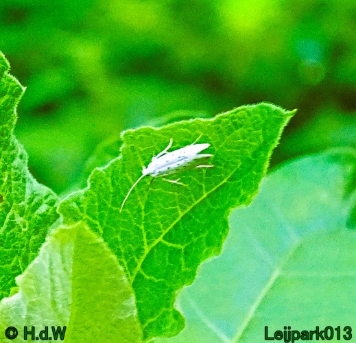 27 &amp; 28 &amp; 29 &amp; 30 juni 2024