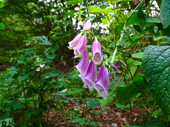 11 &amp; 12 &amp; 13 &amp; 14 juni 2024