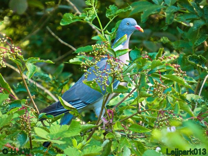 22 &amp; 23 &amp; 24 &amp; 25 augustus 2024