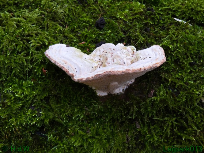 22 &amp; 23 &amp; 24 &amp; 25 november 2024