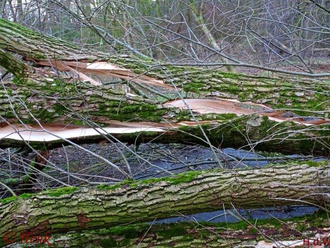 Storm terug in de tijd