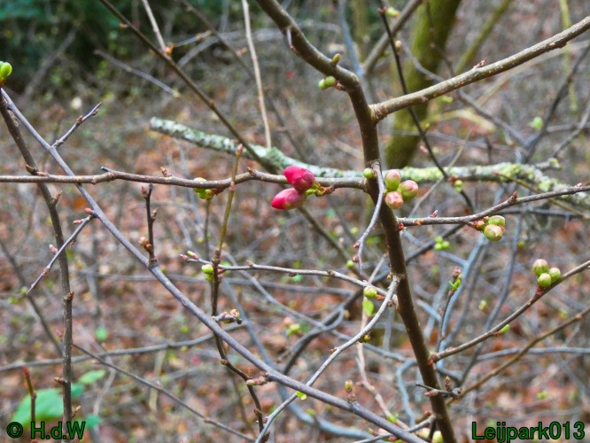 9 &amp; 10 &amp; 11 &amp; 12 januari 2025