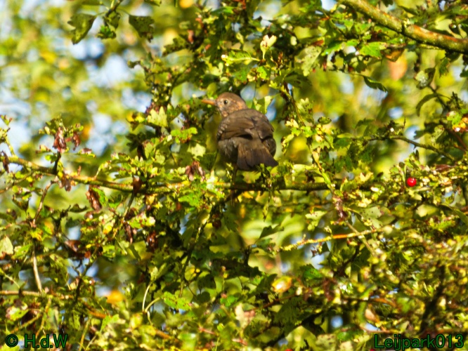 1 &amp; 2 &amp; 3 &amp; 4 oktober 2024