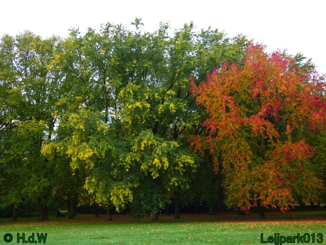 28 &amp; 29 &amp; 30 &amp; 31 oktober 2025