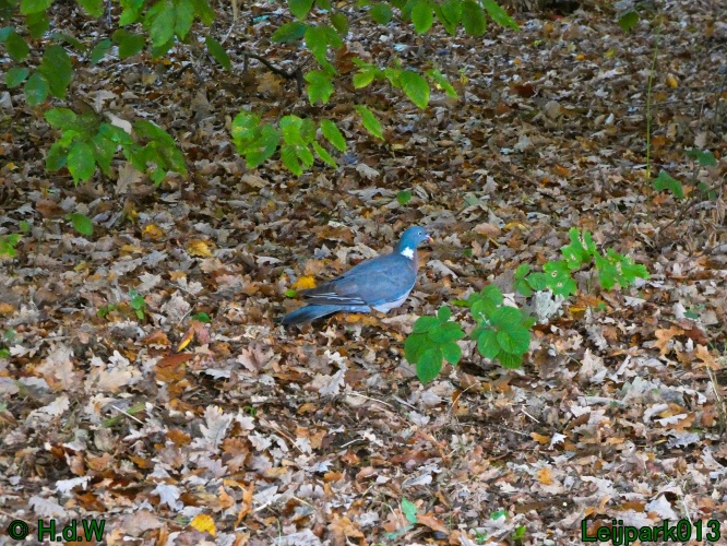 28 &amp; 29 &amp; 30 &amp; 31 oktober 2025