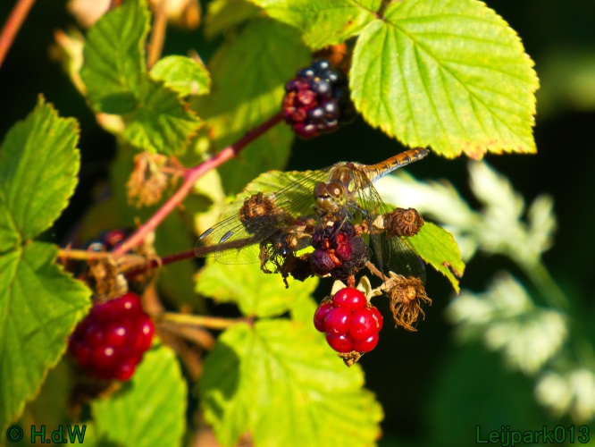 22 &amp; 23 &amp; 24 &amp; 25 augustus 2024