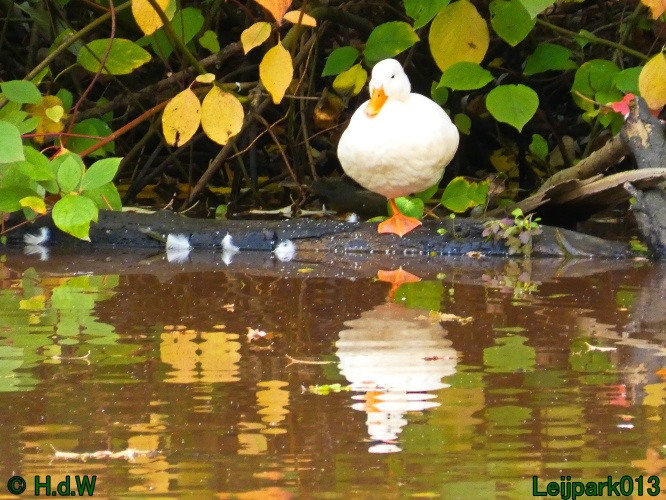 21 &amp; 22 &amp; 23 &amp; 24 oktober 2024