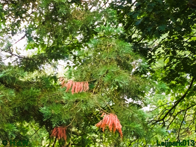 5 &amp; 6 &amp; 7 &amp; 8 juli 2024