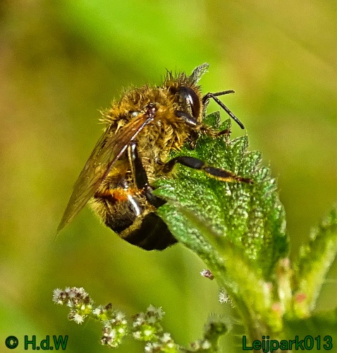 27 &amp; 28 &amp; 29 &amp; 30 juni 2024