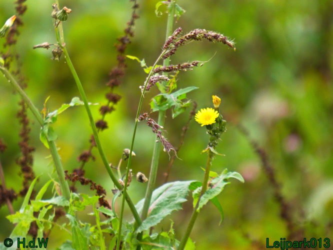 21 &amp; 22 &amp; 23 &amp; 24 oktober 2024